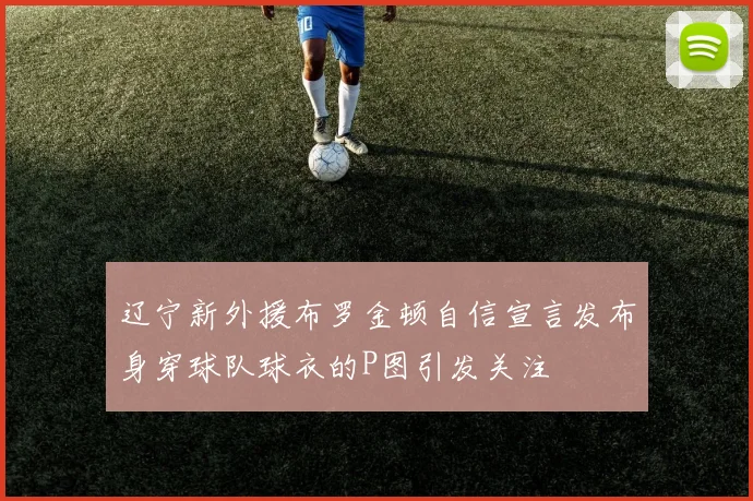 辽宁新外援布罗金顿自信宣言发布身穿球队球衣的P图引发关注