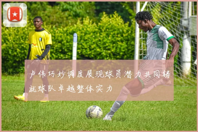 卢伟巧妙调度展现球员潜力共同铸就球队卓越整体实力