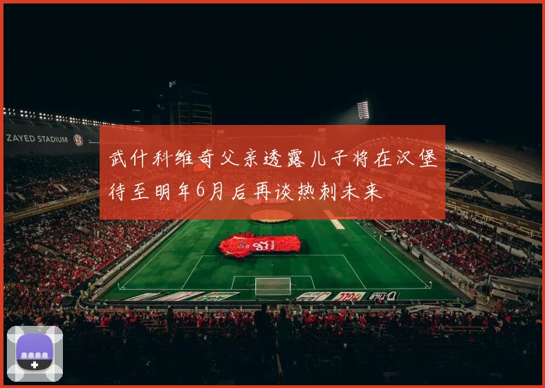 武什科维奇父亲透露儿子将在汉堡待至明年6月后再谈热刺未来