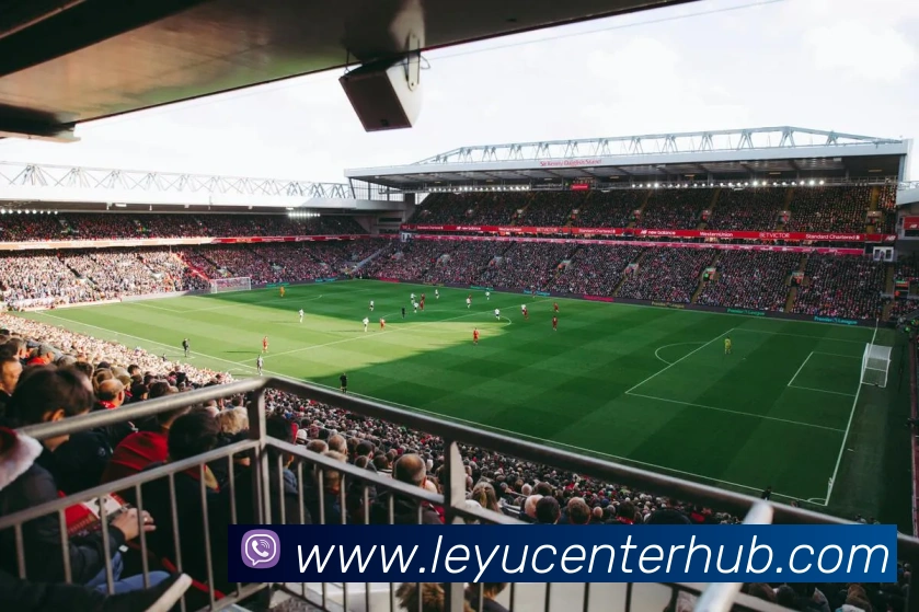 App Interface Preview