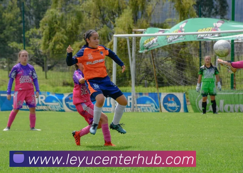 乐鱼体育APP 封面图